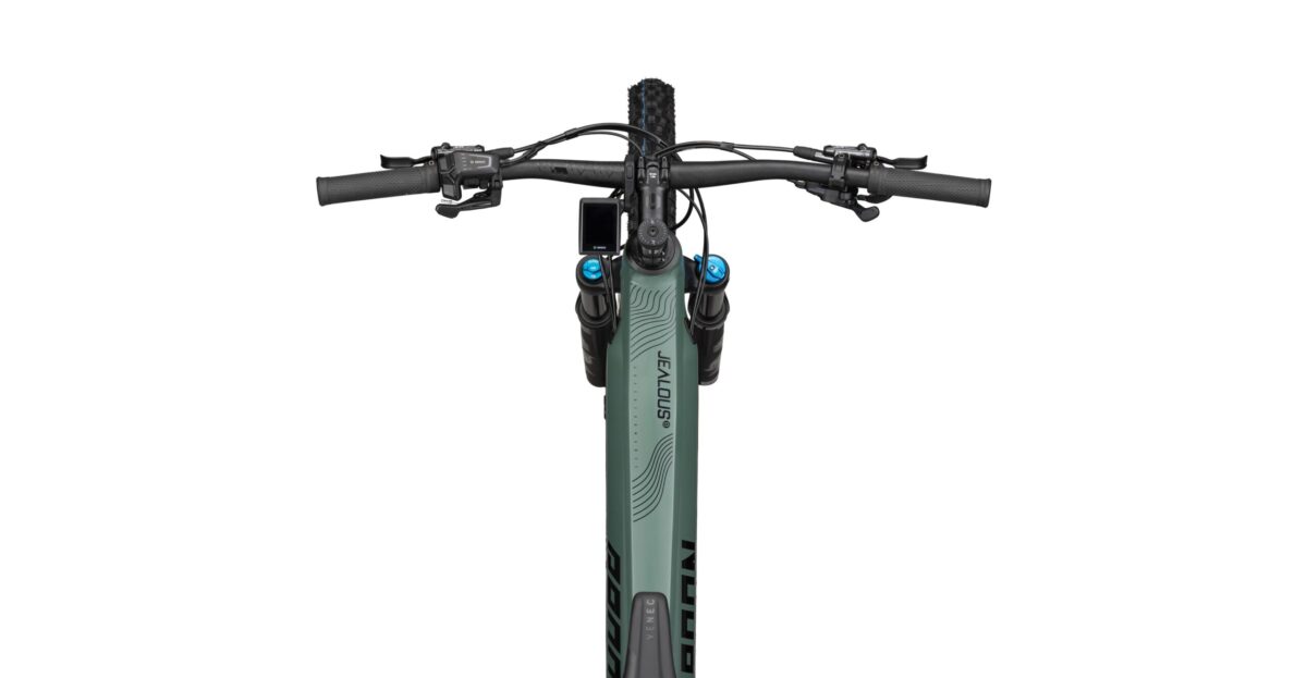 Radon JEALOUS HYBRID 10.0 750 – Bild 3