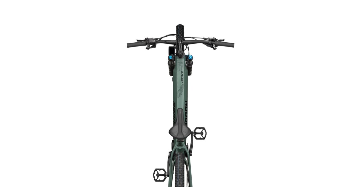 Radon JEALOUS HYBRID 10.0 750 – Bild 6