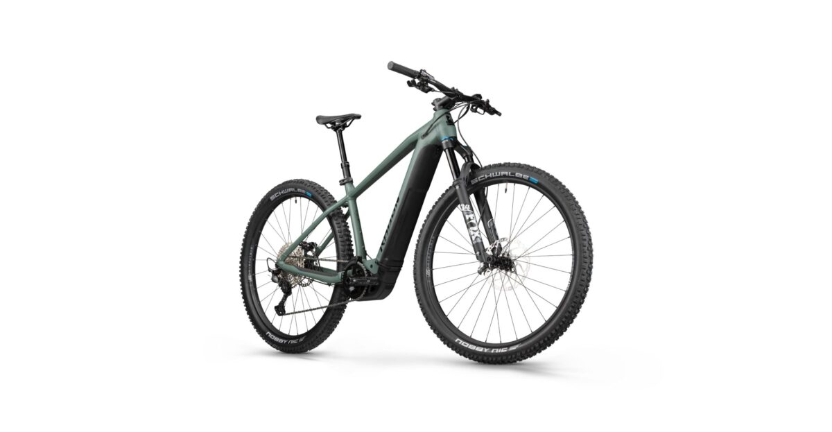 Radon JEALOUS HYBRID 10.0 750 – Bild 7