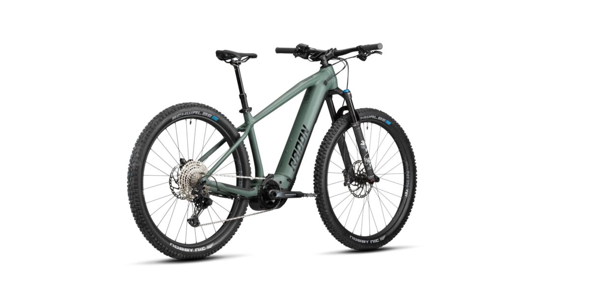 Radon JEALOUS HYBRID 10.0 750 – Bild 9
