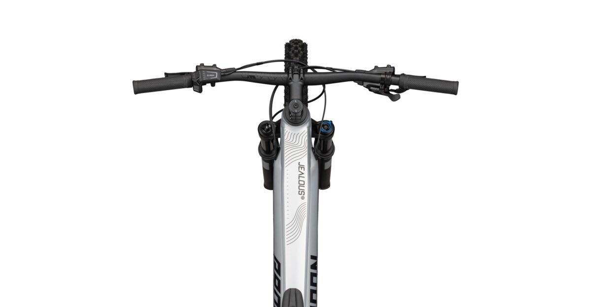 Radon JEALOUS HYBRID 8.0 750 – Bild 3