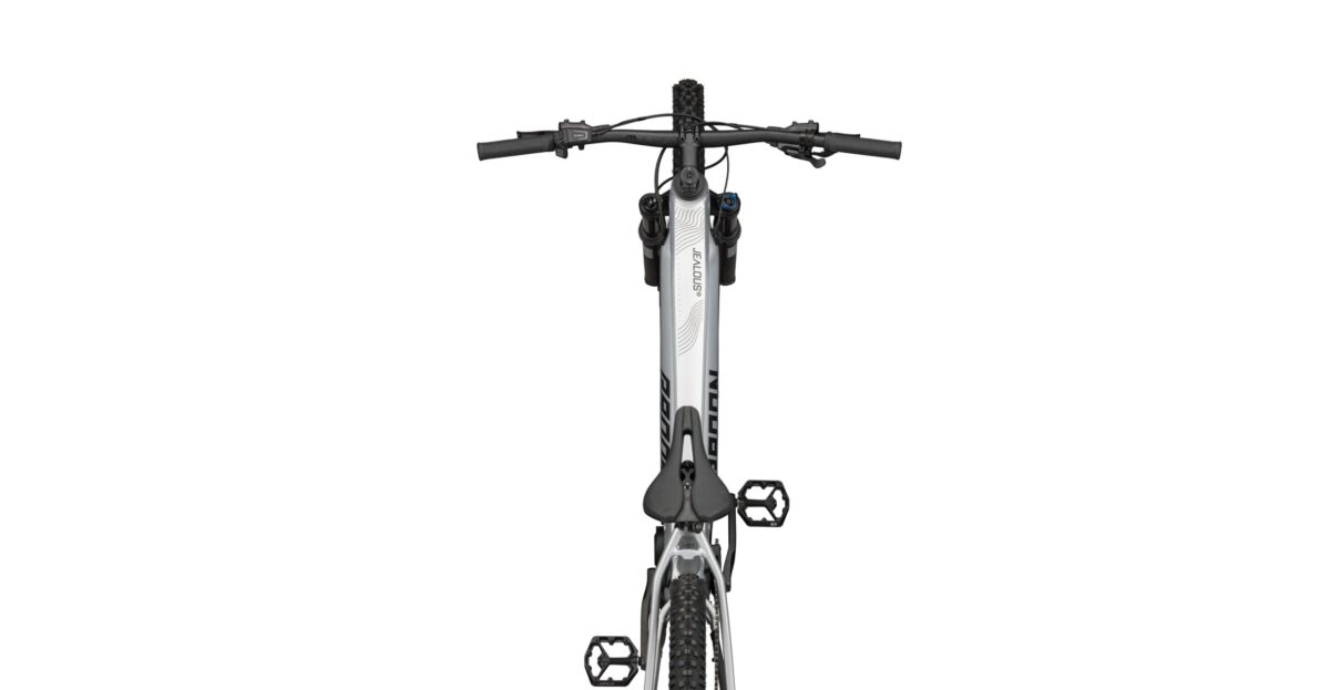Radon JEALOUS HYBRID 8.0 750 – Bild 5