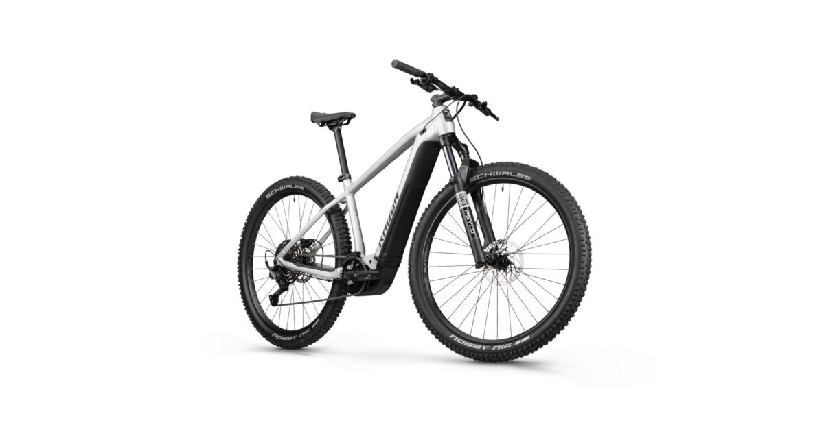 Radon JEALOUS HYBRID 8.0 750 – Bild 6