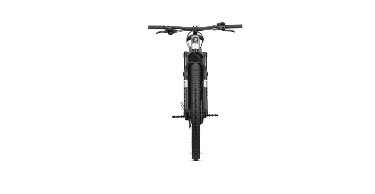 Radon JEALOUS HYBRID 8.0 750 – Bild 7