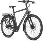 Gazelle Chamonix S11 – Bild 2