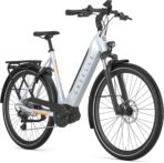 Gazelle Ultimate T10 Low-Step – Bild 3