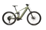 Allegro ALLTRAIL | 29 Zoll E-MTB Fully | moss green