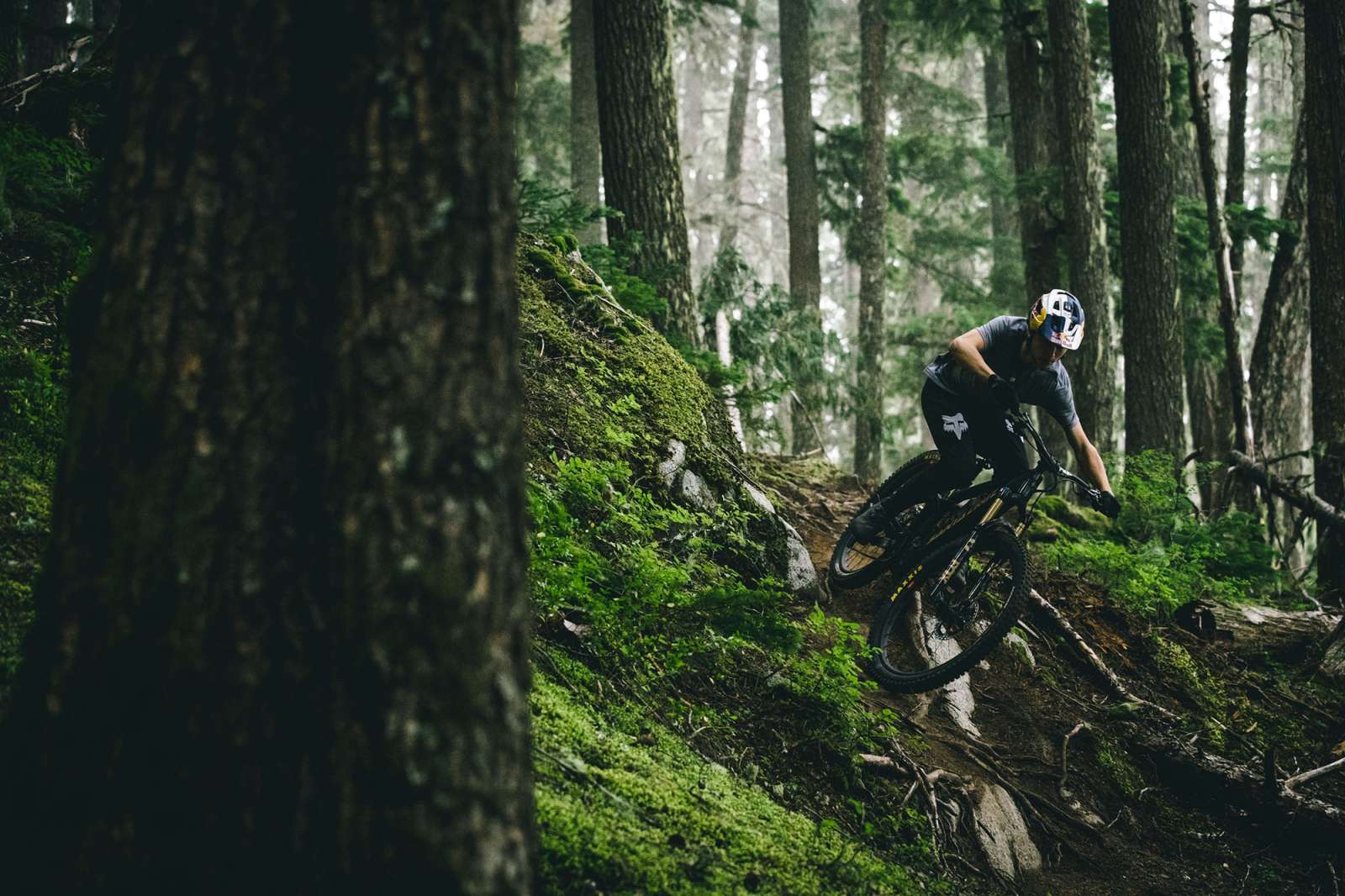 AM_Jackson-VALA-240903-156_jpg_800x800@2x Santa Cruz Vala C MX 90 – Bild 3