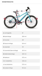 ACADEMY Grade 3 Belt – Bild 5